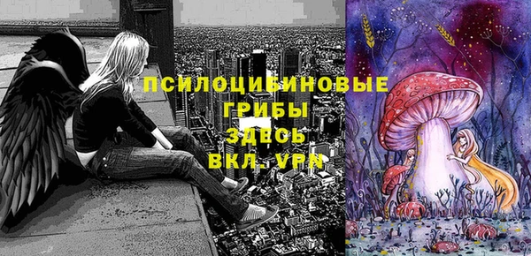 мет Алексин