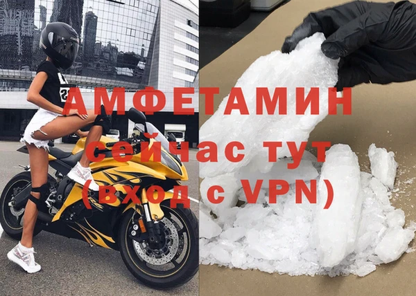 мет Алексин