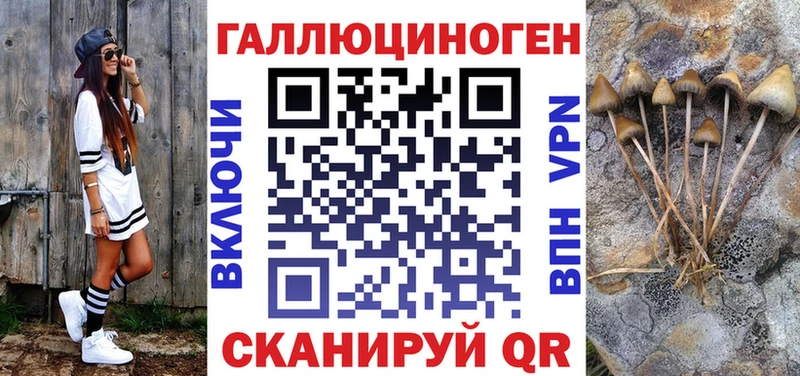 Купить  Уварово  Псилоцибиновые грибы Psilocybine cubensis 